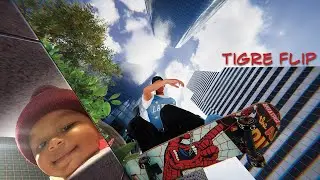 Tigre Flip ( SkaterXL Part )