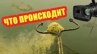 Слежу за рыбой с ПОДВОДНОЙ КАМЕРОЙ. Тест прикормок.