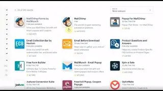 How To Integrate Mailchimp With Shopify 2021