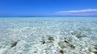 Calm Waters: Blue Ocean Video For Meditation & Relaxation