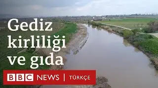 Kuraklık ve su kirliliği: Gediz Nehrinden sofraya gıda güvenliği