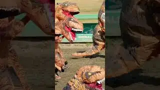 The 2024 T-Rex World Championship Races saw more than 200 people run 100 yards in full costume