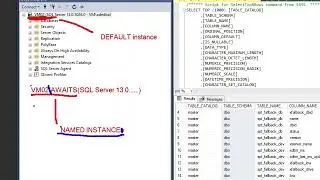 Microsoft SQL Server Instances