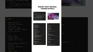 Image Text Reveal Hover Effect | CSS