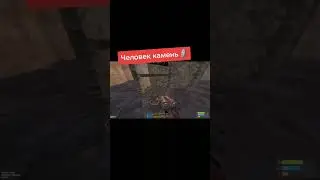 #раст