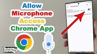 Quick Tutorial: Allowing Microphone Access on Chrome App for Smartphone