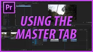 How to Use the Master Tab in Adobe Premiere Pro CC (2017)