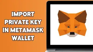 How To Import Private Key In MetaMask Wallet 2024