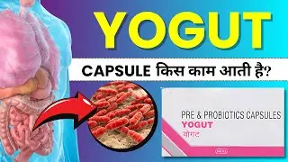 Yogut Capsule Uses, Review, Benefits Explained in Hindi - Apke Gut Health ka Best Solution