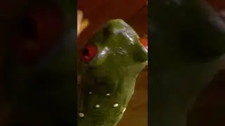 Don't mess with the Red-Eyed Tree Frog! 