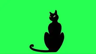 Black Cat Animation Green Matte | Black Cat Green Screen | Chroma Key | Sky Fx