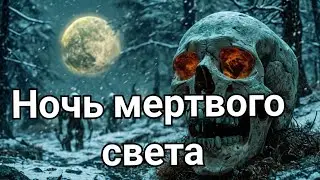 Ночь мертвого света: Тайны зимнего леса