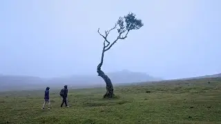 Hiking for 4 days in Madeira Portugal | 4K HDR