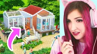 After Playing SIMS 4 TINY LIVING These Are My Thoughts...