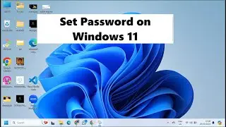 How to Set Password on Windows 11