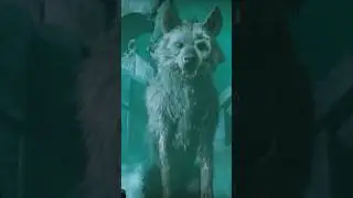 Фенрир 🐺 | 