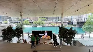 Apple Store Chicago is on the River!