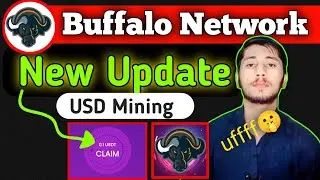 Buffalo Network NEW update || buffalo earn | Buffalo network new update 2024