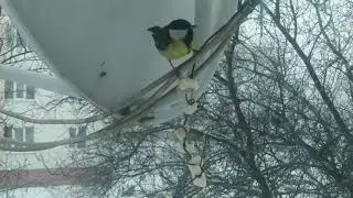 ...она пришла и к нам!