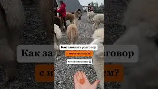 Как познакомиться с иностранцем?