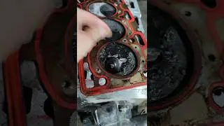 K9K858 установка нового мотора. 