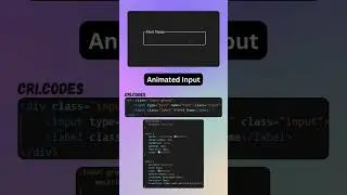 Animated Input  