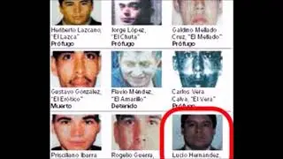 Ellos eran los verdaderos Zetas; Del Z 1 al Z 42″ «Grupo de los 14» la primera generación de los Zet