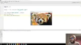 Loading images - OpenCV 3.4 with python 3 Tutorial 1