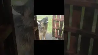 Как ты к технике, так и она к тебе)