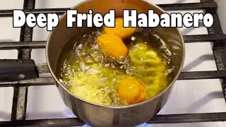 Deep Frying a Habanero Pepper for an Hour (NSE)