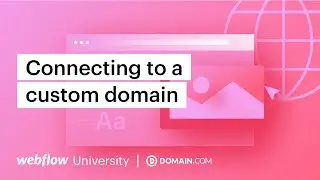Connecting a custom domain with Domain.com — Webflow tutorial (using the Old UI)