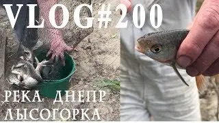 ВЛОГ#200. Ловля карася и тарани на Днепре в Лысогорке