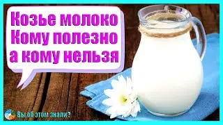 Козье молоко — Кому полезно, а кому нельзя