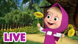 🔴 LIVE STREAM 🎬 Masha and the Bear 🐾 Pawsome Adventures ✌️🙌