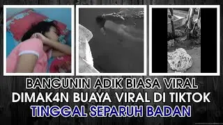 CUMA KAKAK BANGUNIN ADEKNYA & BUAYA LAGI MAKAN VIRAL DI TIKTOK