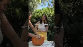 100% recommend putting a baby in a pumpkin and taking pics! 