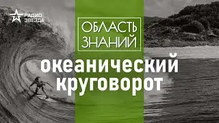 Почему вода в океане постоянно находится в движении? Лекция океанолога Александра Осадчиева