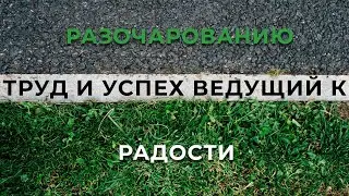 Труд и успех ведущий к разочарованию / радости | 03.12.2023 