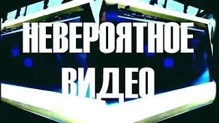 Невероятное видео!! Удивительный мир видео.3. ✨