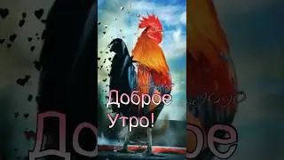 Откройте ваше сердце счастью 
