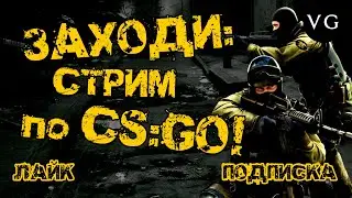 CSGO/СТРИМ/ОБЩЕНИЕ