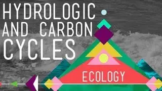 The Hydrologic and Carbon Cycles: Always Recycle! - Crash Course Ecology #8