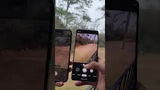 Google Pixel 7 Pro VS iPhone 14 Pro Max Design & Camera Zoom Test!
