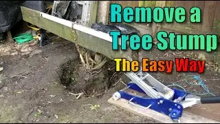 How to Remove a Tree Stump (The Easy Way)