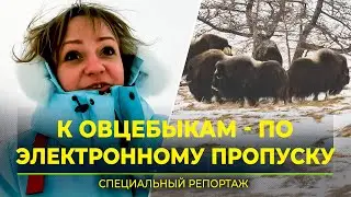 В ямальском парке «Ингилор» ввели электронные пропуска. Как это работает
