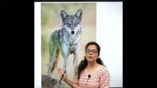 Operation Bhediya : Terror of wolves in Uttar Pradesh | L2A IAS | UPSC #upsc #currentaffairs