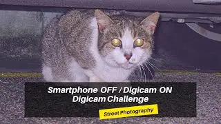 Unleash Your Inner Artist with These Old Digicams (Digicam Challenge) @horizongrid