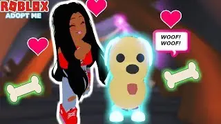 I GOT A NEW NEON PET FROM THE SECRET CAVE!! -ROBLOX ADOPT ME