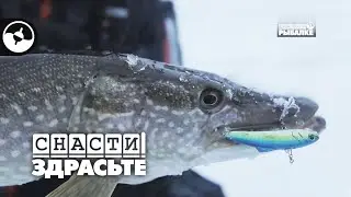 За зимней щукой на Иртыш | Снасти, здрасьте!