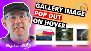 Divi Theme Gallery Image Pop Out On Hover Effect 👍👈